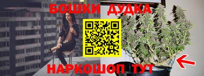 spice Абакан