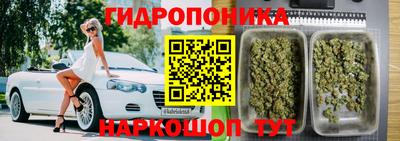 spice Абакан