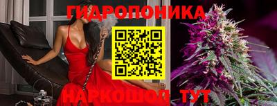 spice Абакан