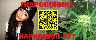 spice Абакан