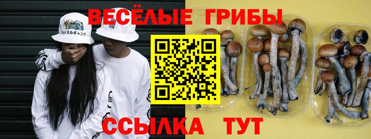 Псилоцибиновые грибы ЛСД  Вход с VPN  продажа наркотиков  Алейск 
